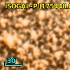 ISOGAL-P J175448.8-294526