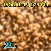 ISOGAL-P J175449.7-294613