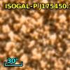 ISOGAL-P J175450.1-294307