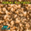 ISOGAL-P J175450.5-294320