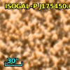 ISOGAL-P J175450.6-295134
