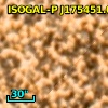 ISOGAL-P J175451.0-295052