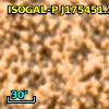 ISOGAL-P J175451.3-294942