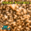 ISOGAL-P J175451.4-294612