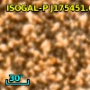 ISOGAL-P J175451.6-294346