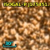 ISOGAL-P J175451.7-294240