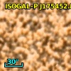ISOGAL-P J175452.8-295026