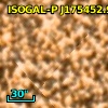 ISOGAL-P J175452.9-295137