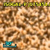 ISOGAL-P J175454.8-295225