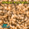 ISOGAL-P J175455.2-295145