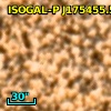 ISOGAL-P J175455.5-294938