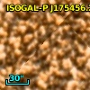 ISOGAL-P J175456.2-294231