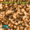 ISOGAL-P J175456.3-294314