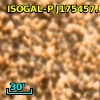 ISOGAL-P J175457.0-295117