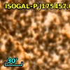 ISOGAL-P J175457.0-294538