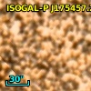 ISOGAL-P J175457.2-295009