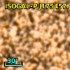 ISOGAL-P J175457.4-294952