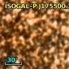 ISOGAL-P J175500.1-294434