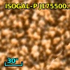 ISOGAL-P J175500.7-294213