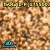 ISOGAL-P J175500.9-295002