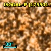 ISOGAL-P J175501.1-294047