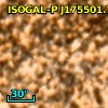 ISOGAL-P J175501.7-294835
