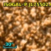 ISOGAL-P J175502.0-294311