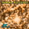 ISOGAL-P J175503.3-293919