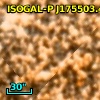 ISOGAL-P J175503.4-293828