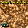 ISOGAL-P J175504.1-294728