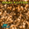 ISOGAL-P J175504.1-294511