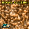 ISOGAL-P J175504.4-294651