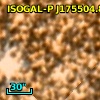 ISOGAL-P J175504.8-294822