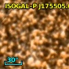 ISOGAL-P J175505.0-294601