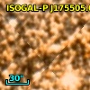 ISOGAL-P J175505.0-293854