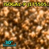 ISOGAL-P J175505.2-294341