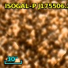 ISOGAL-P J175506.2-294318