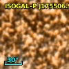 ISOGAL-P J175506.9-294733
