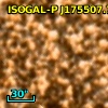 ISOGAL-P J175507.7-294235
