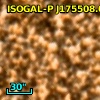 ISOGAL-P J175508.0-294218