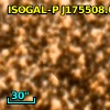 ISOGAL-P J175508.6-294311