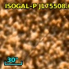 ISOGAL-P J175508.6-294505