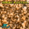 ISOGAL-P J175511.7-293851