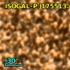ISOGAL-P J175513.4-294419