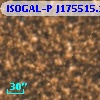 ISOGAL-P J175515.1-294059