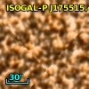 ISOGAL-P J175515.4-294122
