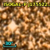 ISOGAL-P J175522.2-294038