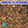 ISOGAL-P J175836.4-290629