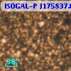 ISOGAL-P J175837.6-290610