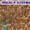 ISOGAL-P J175840.0-290914